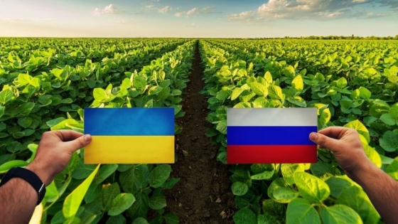 Ucrania paraliza la exportación de fertilizantes y aplica licencias para trigo, maíz y aceite de girasol