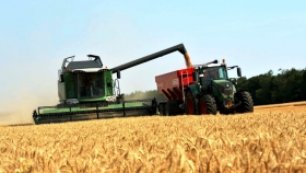 Camino a cerrar su récord histórico, el trigo ya lleva aportados más de US$ 3.400 millones en exportaciones