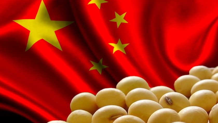 La crisis sanitaria y el primer impacto externo: cayeron un 35% las exportaciones a China