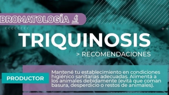 Triquinosis: claves para prevenir una enfermedad que compromete la salud pública y productiva