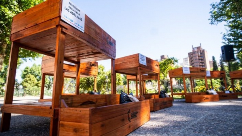 Proyecto huertas en altura: la Municipalidad entregó elementos para personas mayores de 17 residencias geriátricas