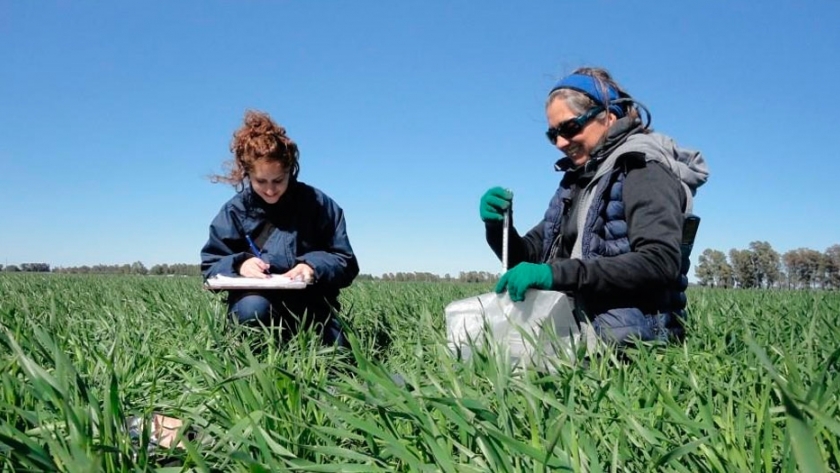 ¿Cómo saber si un campo es estable y sustentable ecológicamente?