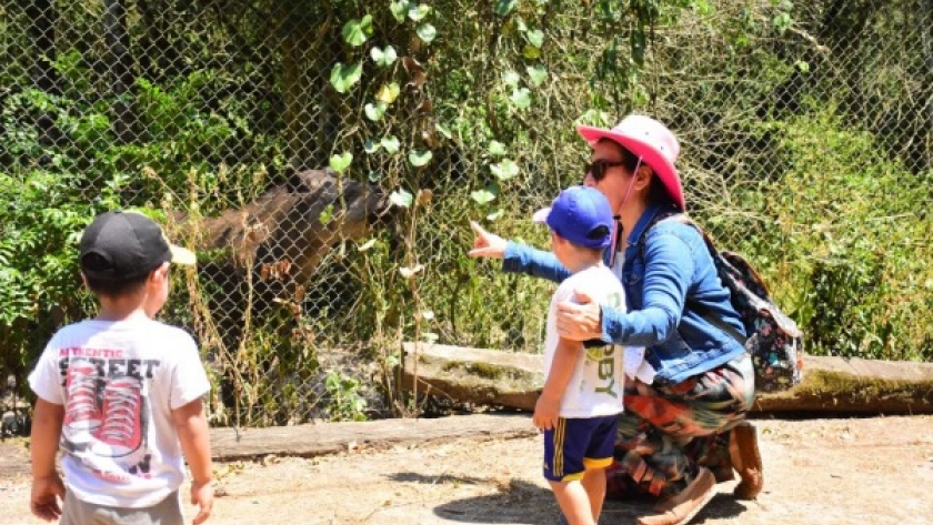 Guaycolec se posiciona como una de las opciones para visitar en vacaciones de verano