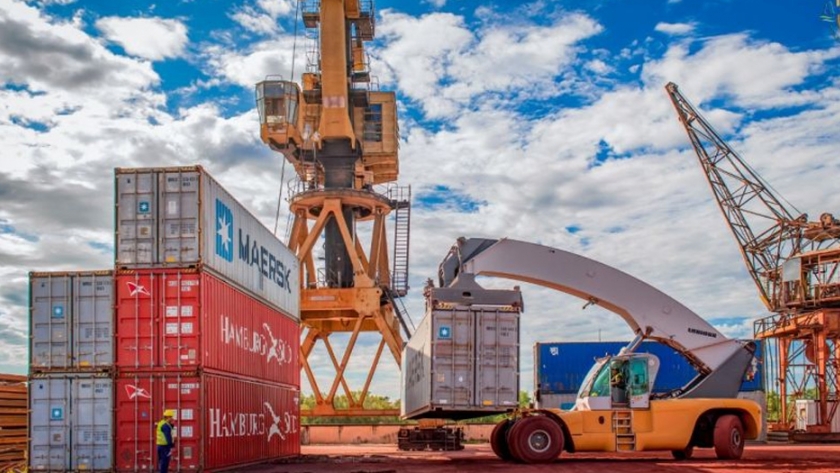 A pesar de la pandemia el gobierno logró continuar la exportación de carbón vegetal a Italia