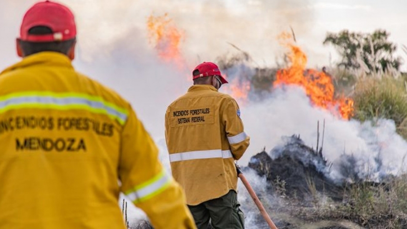 El Gobierno lanza una fuerte campaña para prevenir incendios forestales