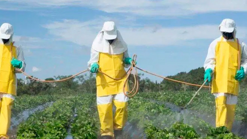 México avanza en la eliminación del glifosato y los OGM