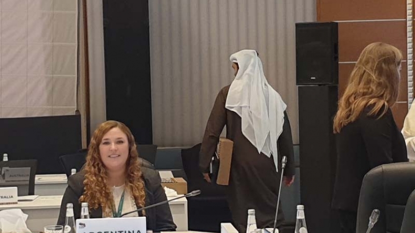 Ambiente estuvo presente en un encuentro del Grupo de Trabajo sobre Gestión Climática del G20