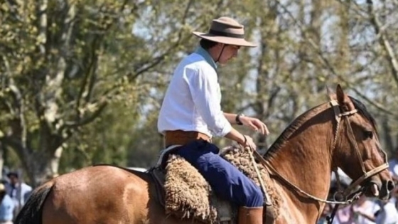 Cabaña Don Segundo de caballos criollos, la pasión de la familia Ortelli