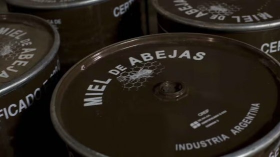 Exportaciones orgánicas: Argentina marca un récord histórico con un crecimiento del 31% en 2025