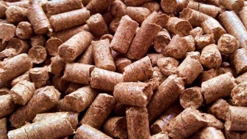 Un subproducto al que conviene prestarle atención: Las exportaciones de afrechillo o pellet de trigo crecieron más de 300% desde 2018