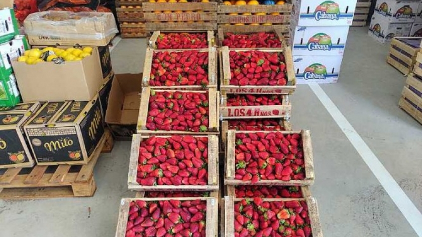 El Mercado Concentrador Frutihortícola ya abrió sus puertas a todo público