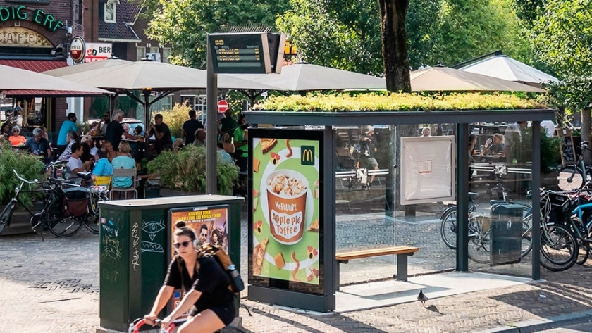 Paradas de autobús contra la desaparición de las abejas