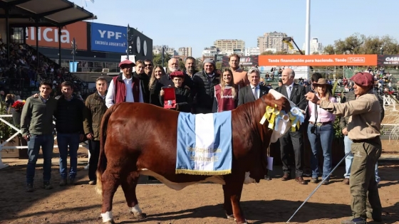 “Martina”: Braford abrió la semana de juras en la Rural y coronó al Gran Campeón Hembra de la raza