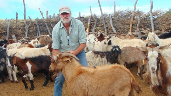 <La FAO considera a la cabra criolla del sur mendocino como raza propia