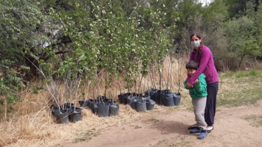 El Plan de Activación Frutihortícola llegó a más productores de la provincia