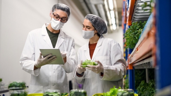Capacitación clave en seguridad alimentaria