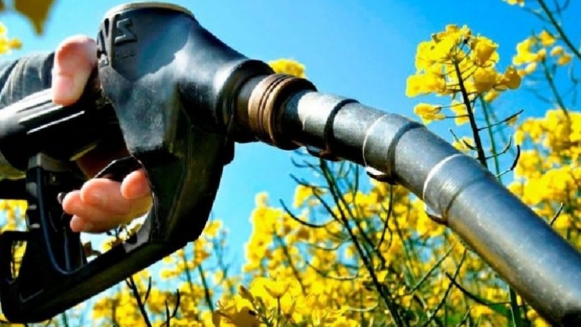Rechazan  modificación del marco regulatorio de los Biocombustibles