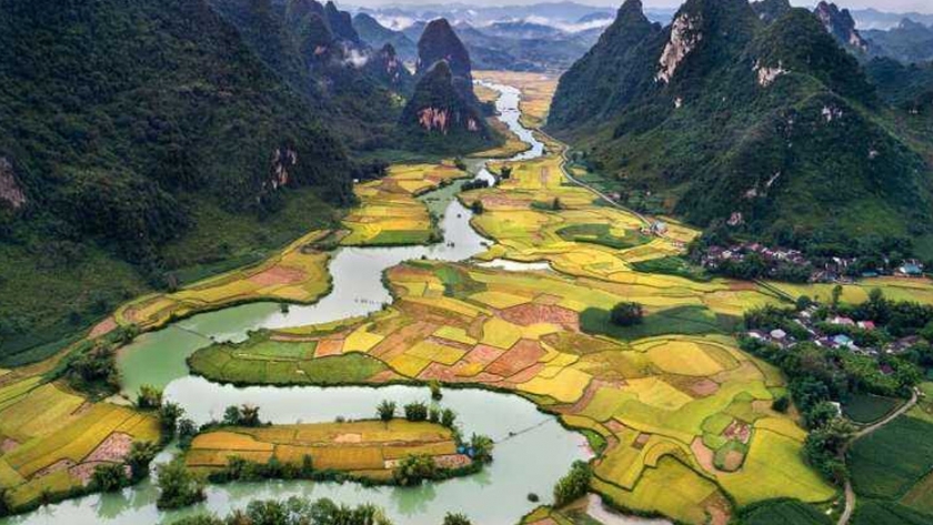 Primer arroz cultivado antiguo descubierto en asia central
