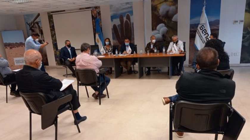 Trabajo conjunto de las provincias del NOA para potenciar la producción citrícola