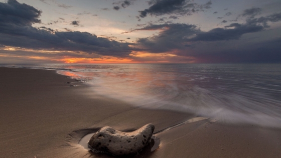 Arenas Verdes: un refugio de naturaleza, mar y tranquilidad en la costa bonaerense