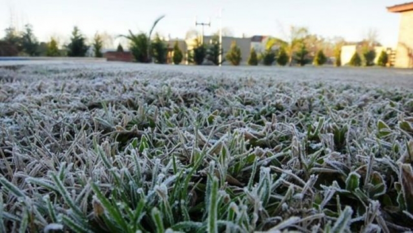 “Parece que estamos regando hielo”