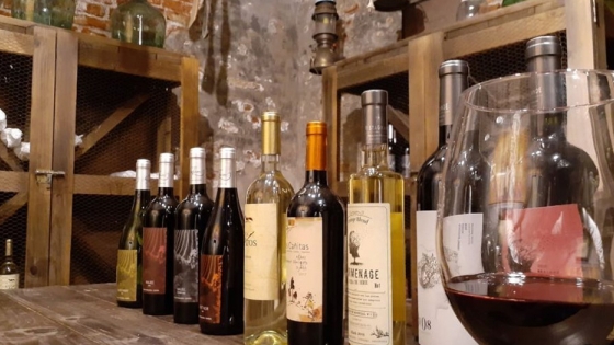 Enoturismo cordobés: la ruta del vino con más de 400 años