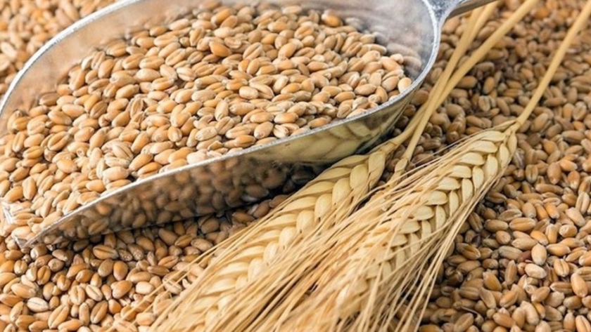 El Ministerio de Desarrollo Agrario concretó la primera ronda de negocios de trigo con México