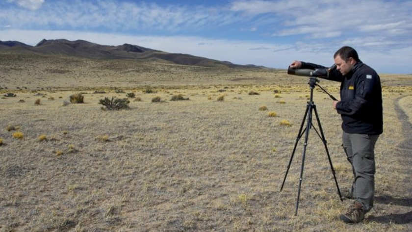 Aprueban protocolos para actividades científicas en Áreas Naturales Protegidas de la Provincia