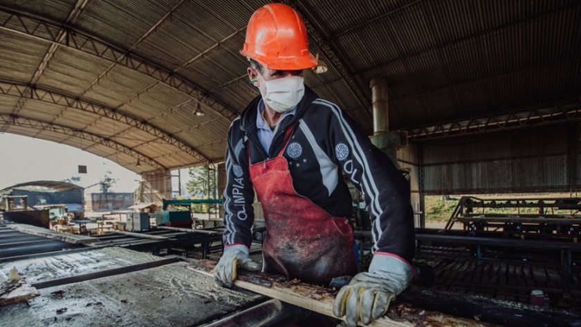 Entrega de compensaciones a empresas forestoindustriales