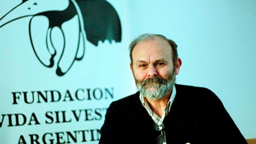 En Argentina se tiran por año más 110 mil toneladas de merluza al mar