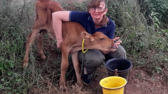 “El 50% de los vientres que se venden en las ferias son vacas lecheras en producción”, alertó Marisa Boschetti, tambera del sur de Córdoba