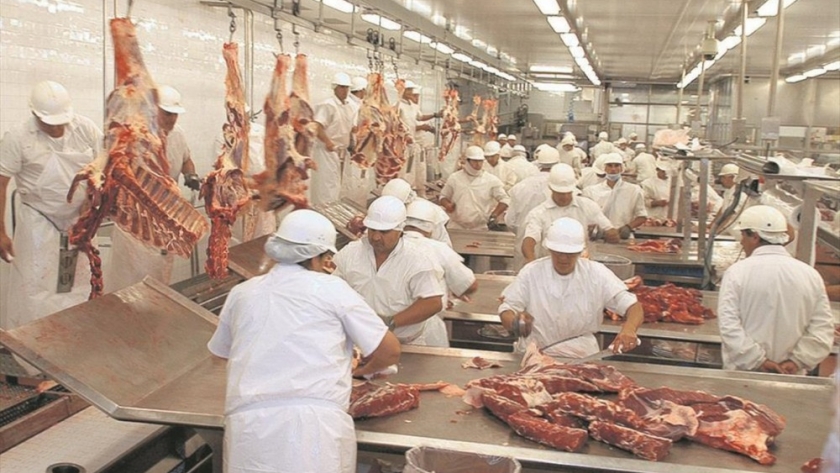 Taller de Oferta Tecnológica Ecuador: Maquinaria para el Procesamiento de Alimentos. Industria Cárnica