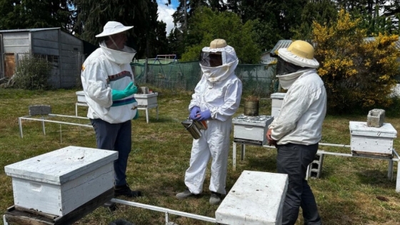 Acreditación de nuevos inspectores sanitarios apícolas en Río Negro y Neuquén