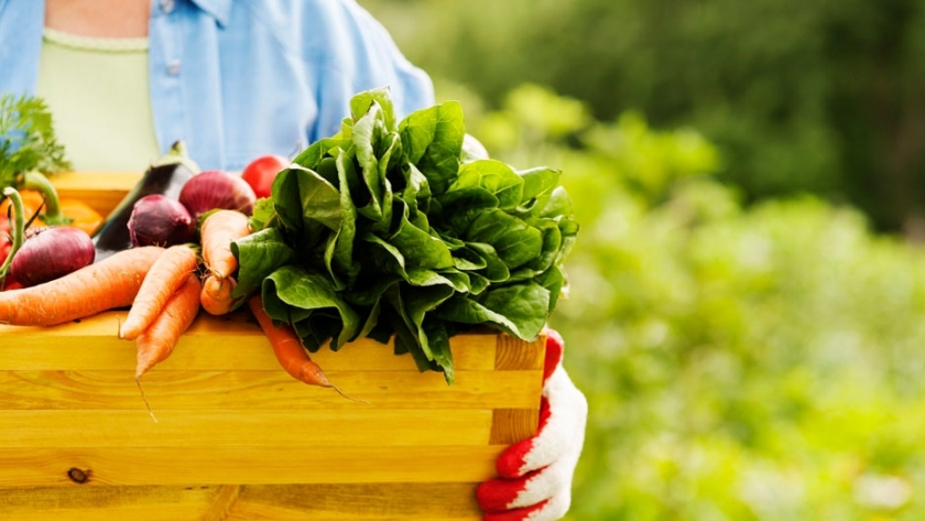 Mitos y realidades sobre los alimentos orgánicos