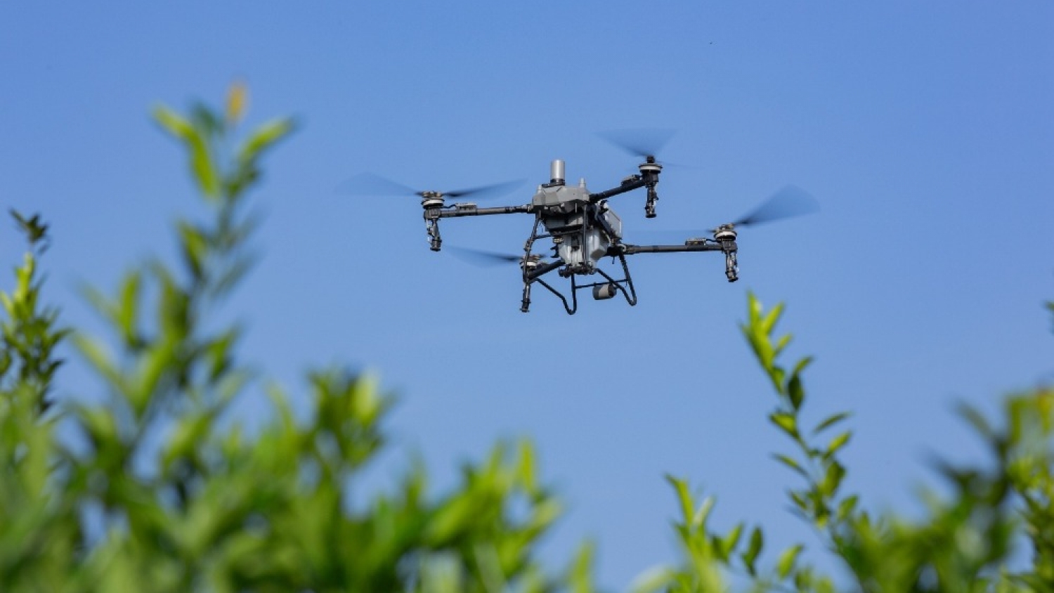 AgroActiva 2026: Con el foco en el «ecosistema AgTech», Tekron sella una alianza histórica y es nuevo Main Sponsor