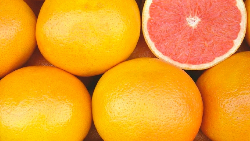 El presidente de Extraberries, Adolfo Storni, habla sobre el presente y futuro de la industria frutícola en Argentina