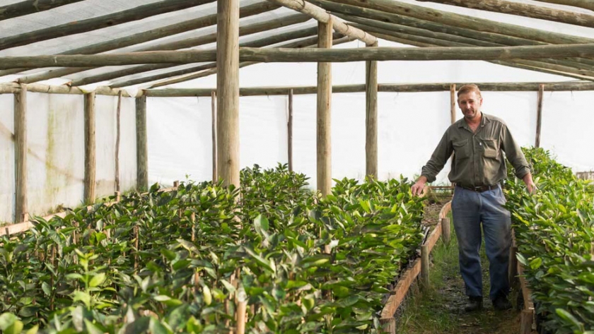 Agricultura aprobó proyectos de agricultura familiar para Salta