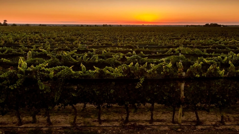 Alchimia de los Andes: una combinación de los elementos de la naturaleza con un estilo particular
