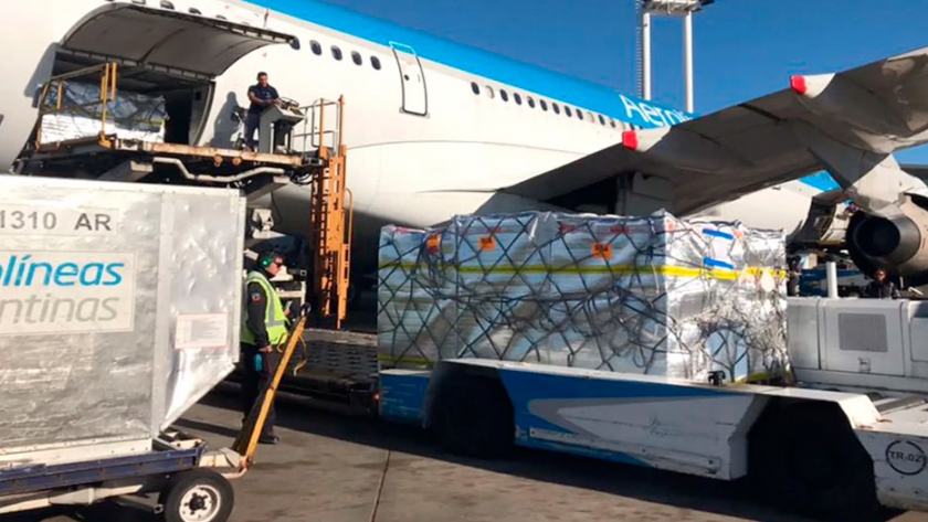 Aerolíneas Argentinas jerarquiza el sector de carga aérea