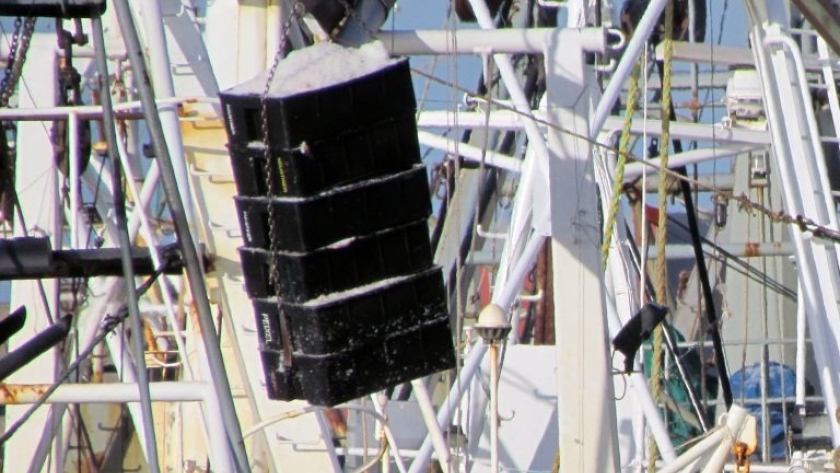 El primer trimestre 2023, muestra mayores descargas que el 2022