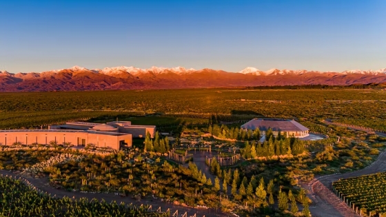 Pionero 2022, el blend argentino que conquista el mundo con el premio “Best in Show”