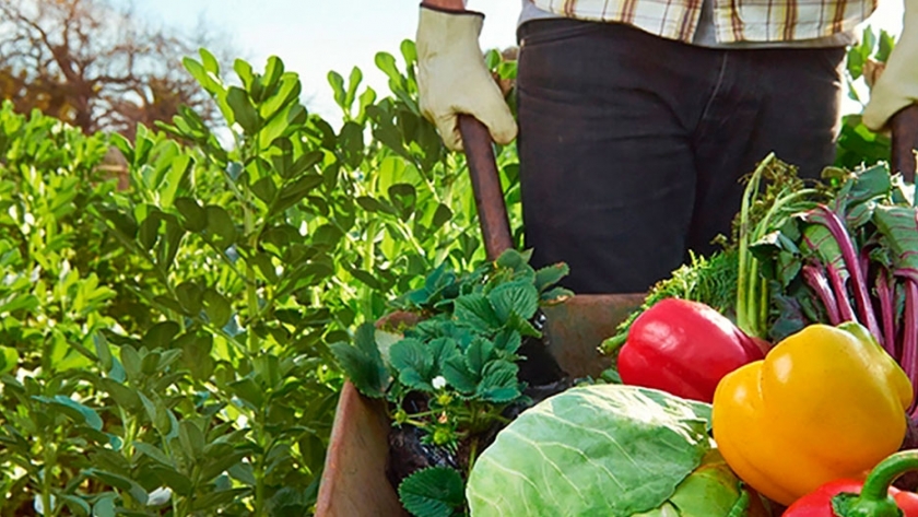 Por qué es importante para los agricultores familiares estar inscriptos en el Renspa