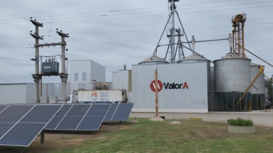Moolec propone liquidarse y abre interrogantes sobre ValoraSoy