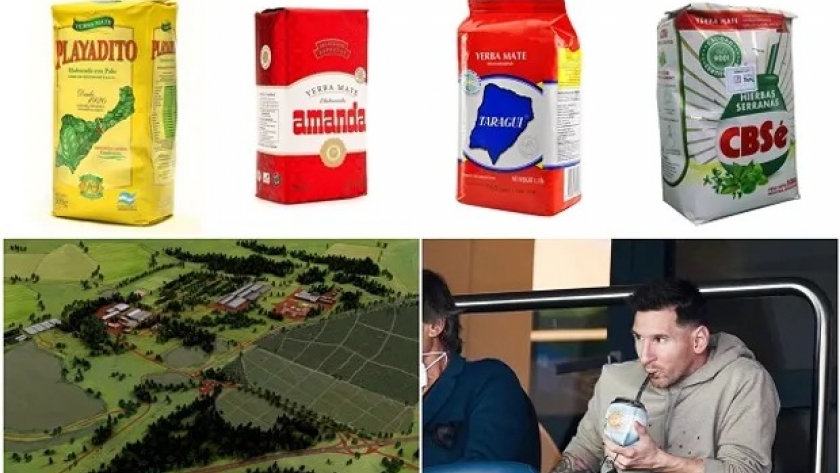 Ranking de marcas: las 10 familias y cooperativas de yerba mate que manejan una de las tradiciones más arraigadas de Argentina