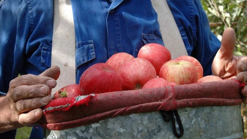 Venció el primer plazo de créditos del Programa PAR AGROINSUMOS