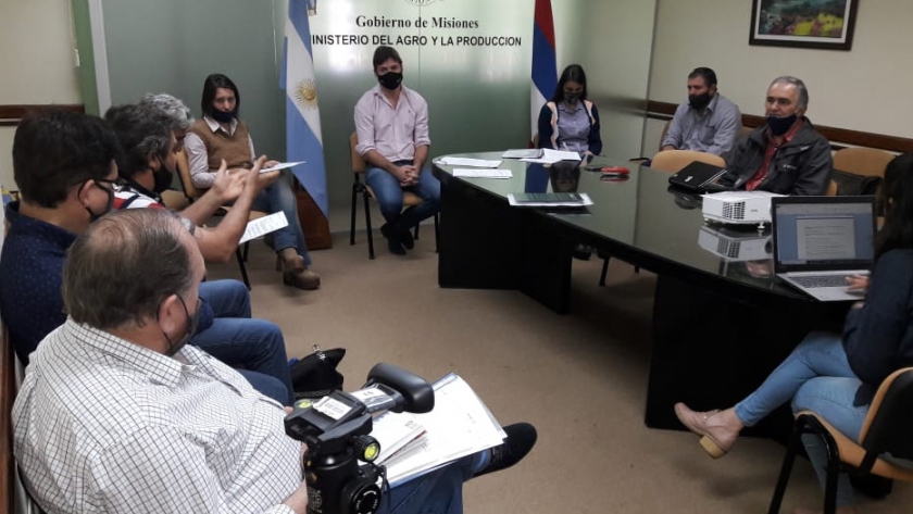 Avanza reglamentación para ingreso y tránsito de fruta a mercados minoristas