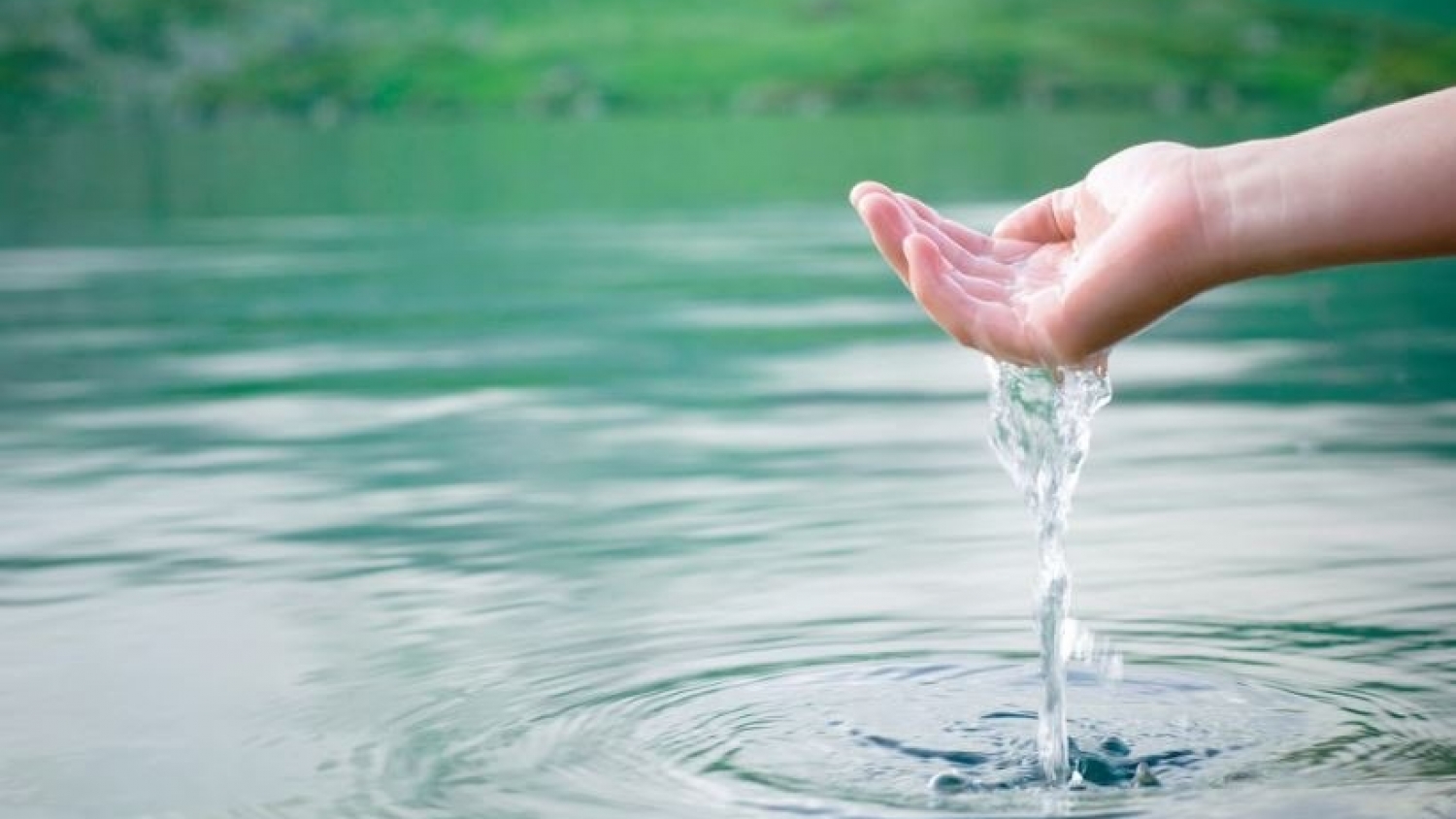 Contrastes hídricos ponen a prueba el tramo clave de la campaña gruesa