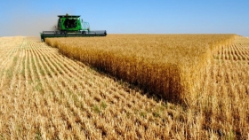 Gracias al trigo ingresarán US$4.070 millones