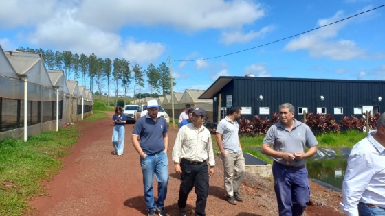 Biofabrica: el centro de producción y validación de tecnologías hortícolas de San Vicente es modelo en la región