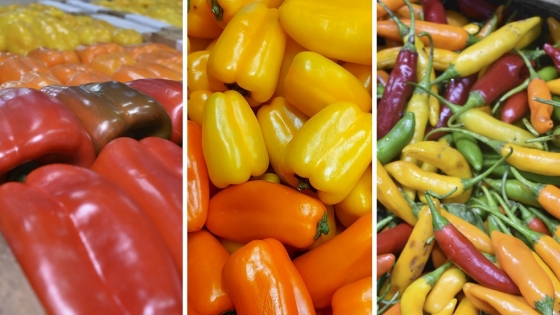 Argentina armoniza la norma de calidad del pimiento para fortalecer el comercio regional